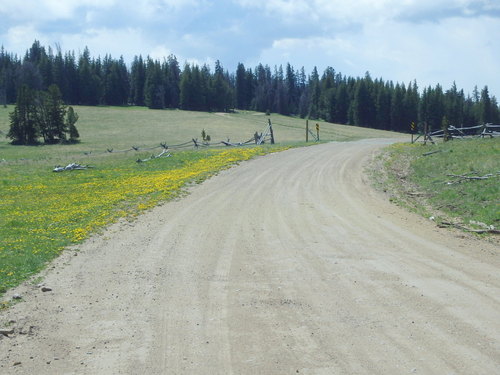 GDMBR: A fence and cattle guard are ahead, climbing is shallow now.